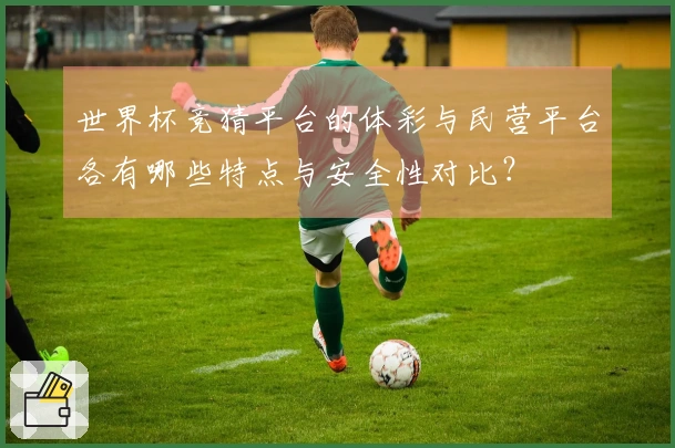 世界杯竞猜平台的体彩与民营平台各有哪些特点与安全性对比？
