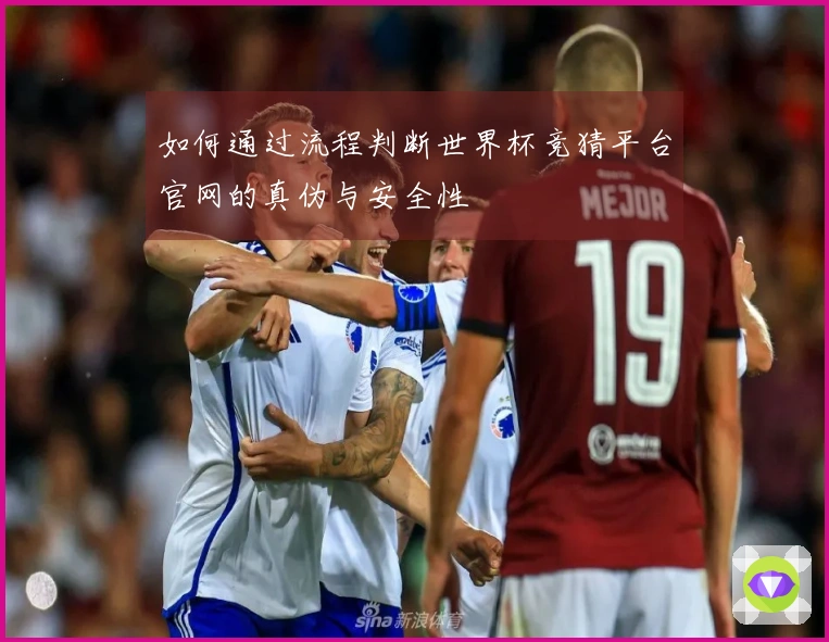 如何通过流程判断世界杯竞猜平台官网的真伪与安全性