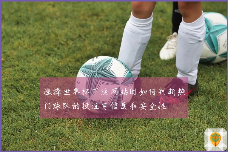 选择世界杯下注网站时如何判断热门球队的投注可信度和安全性