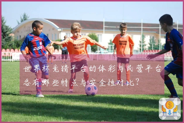 世界杯竞猜平台的体彩与民营平台各有哪些特点与安全性对比？